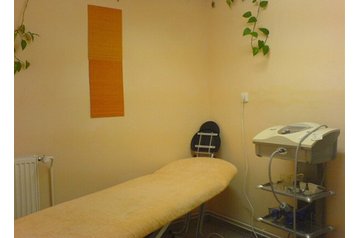 Сімейний пансіонат Bystré 5